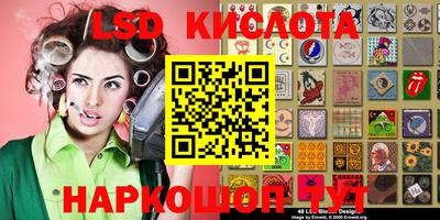 ПСИЛОЦИБИНОВЫЕ ГРИБЫ Нальчик